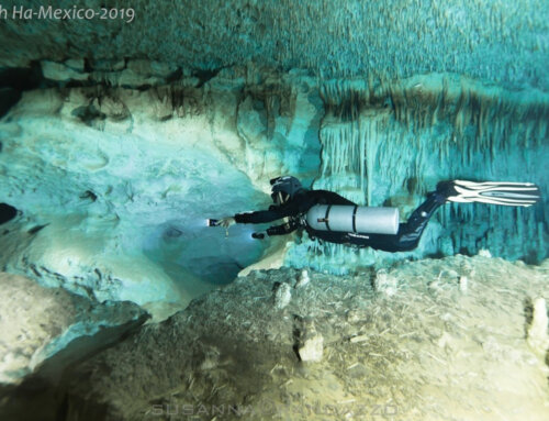Guided Cave Diving