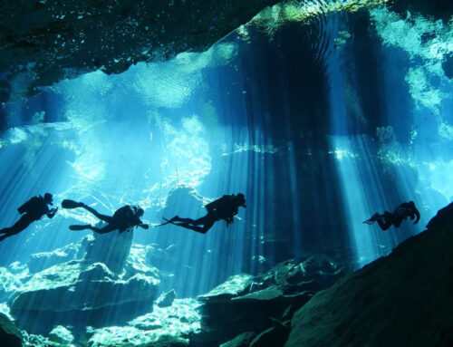 Guided Cenote Tours