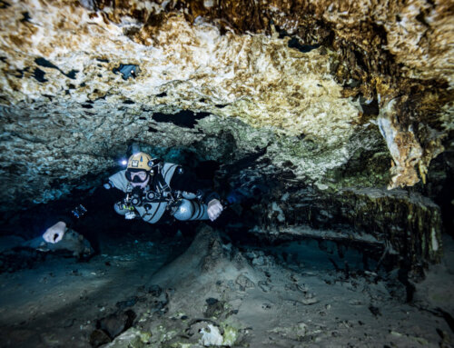 Full Cave Diver