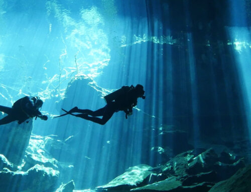 The psychology of deep sea diving: conquering fear and embracing calm
