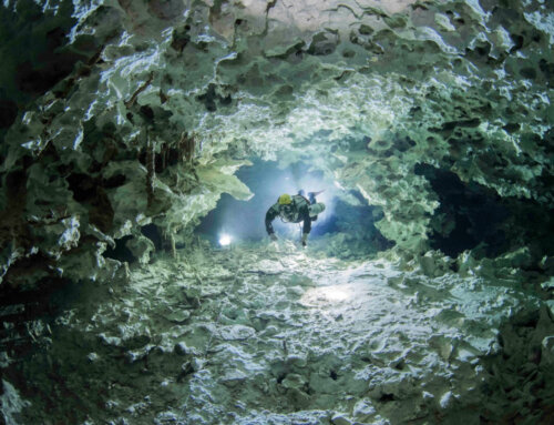 Cave Diving Mexico