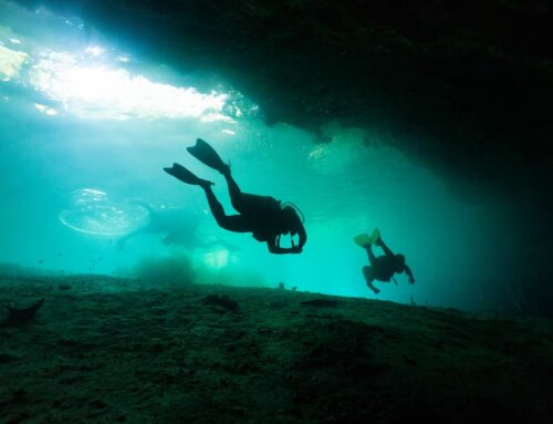 Explore the Benefits of Diving: An Underwater World of Health and Adventure
