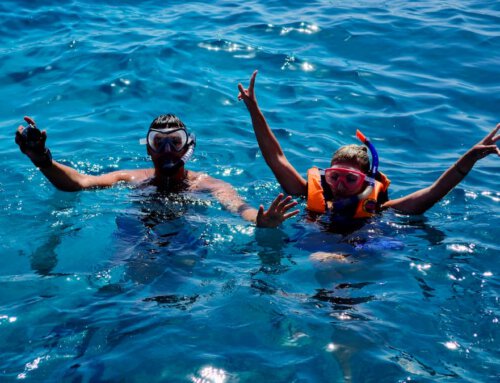 A beginner’s guide to scuba diving in Mexico