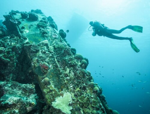 Guided Diving: A Detailed Journey into the Underwater World