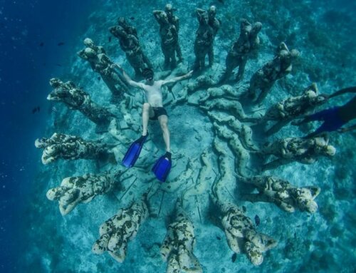 Scuba Diving Trips: Planning the Perfect Adventure