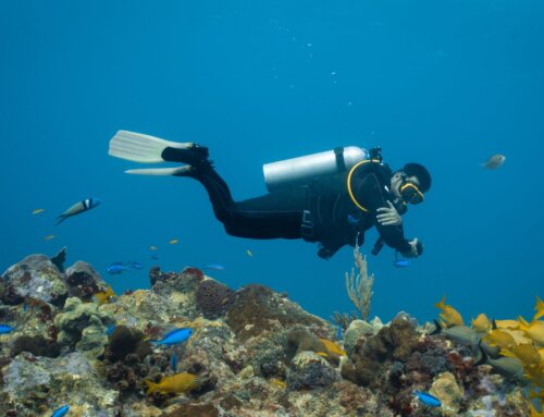 Buoyancy in diving: mastering the water with grace and respect
