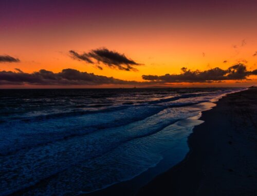 Night diving: discovering the ocean after dark