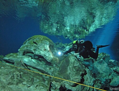 Best Time to Dive in Playa del Carmen – Month-by-Month Guide