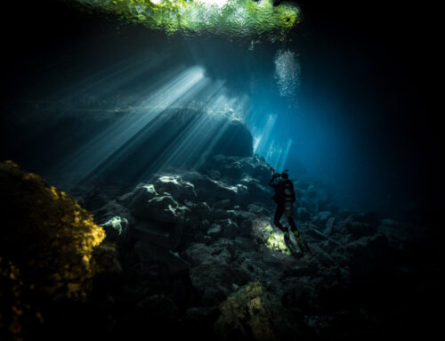 Diving at Cenote Ponderosa: A Hidden Gem in Riviera Maya