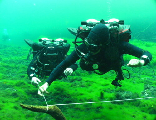 Cave Diving vs Cenote Diving: What’s the Difference?