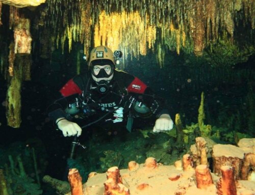 Cave Diving vs Cenote Diving: What’s the Difference?