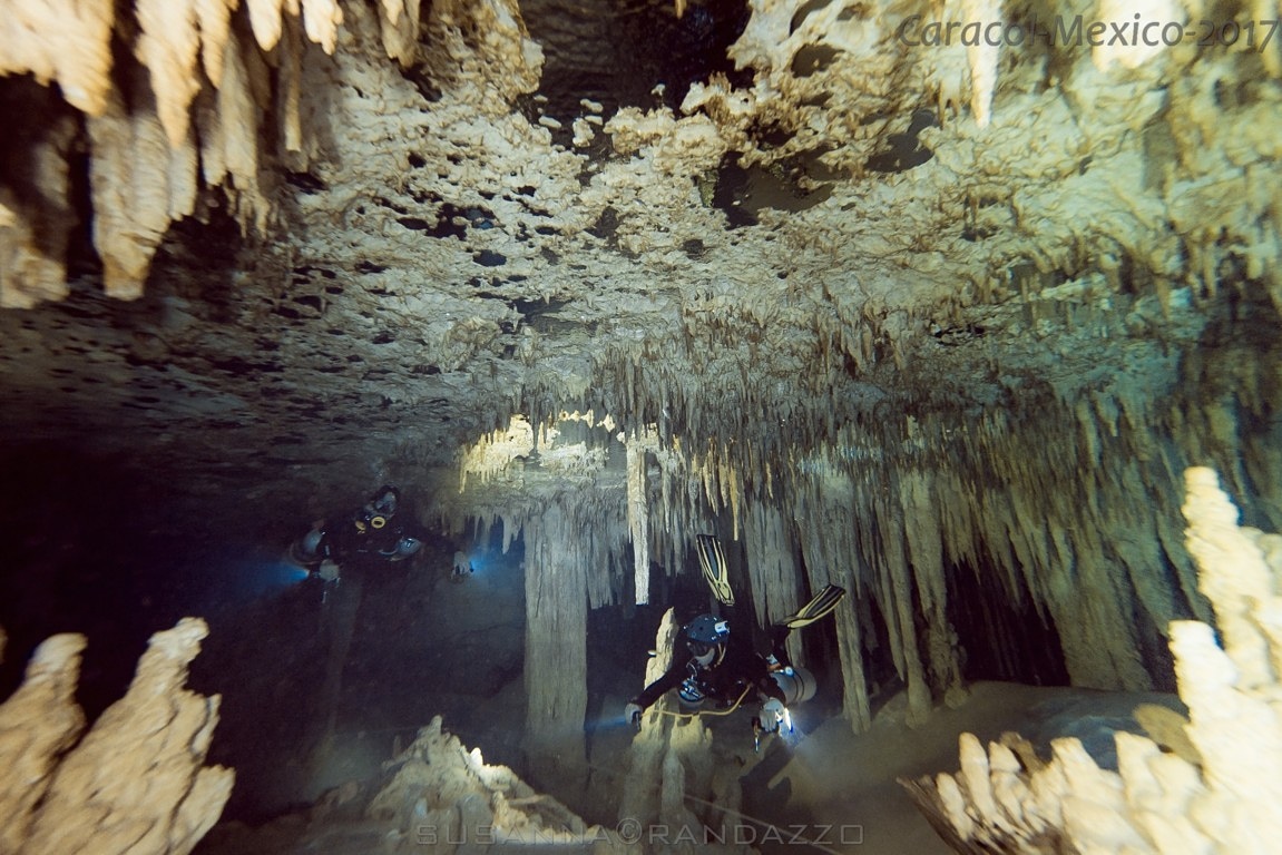 cenote diving playa del carmen cenote diving playa del carmen