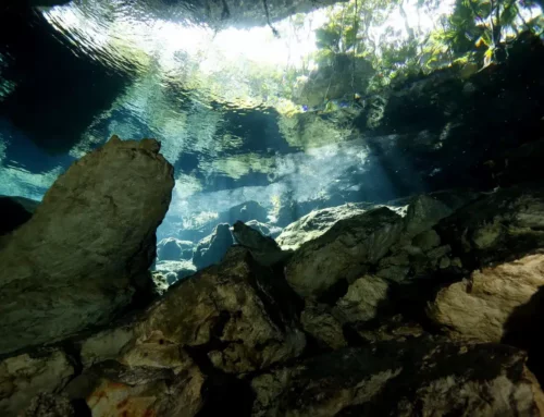 Is Cenote Diving Safe for Beginners?