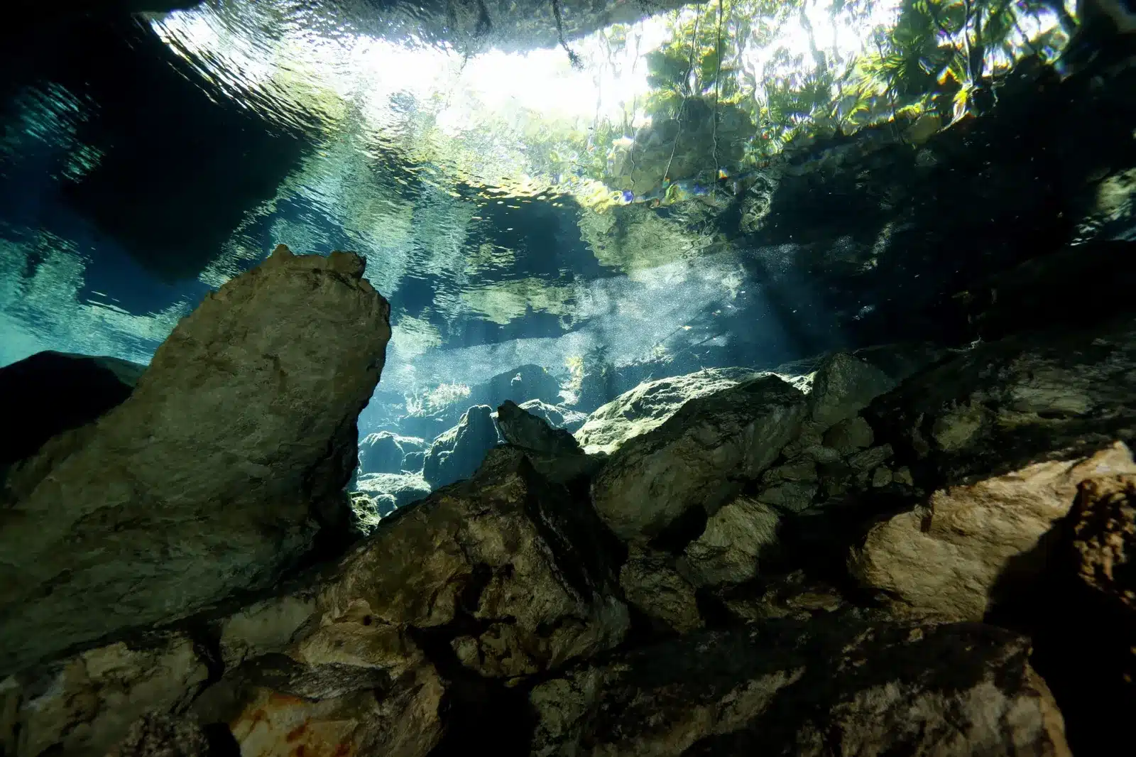 cenote diving playa del carmen cenote diving playa del carmen