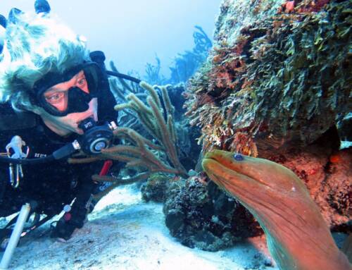 Scuba Diving in Playa del Carmen: What First-Time Divers Need to Know