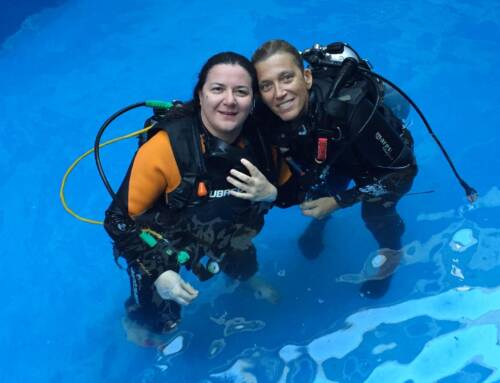 How to Choose a Safe Scuba Diving Operator in Playa del Carmen