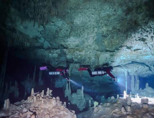 Best Cenotes for Diving Near Playa del Carmen: How to Choose the Right One