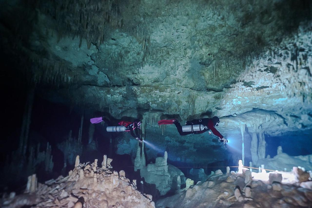 Best cenote diving in Playa del Carmen